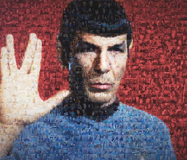 For the Love of Spock (2016)