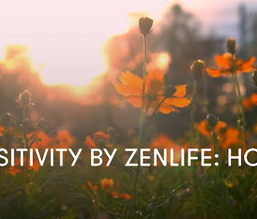 Positivity by ZenLIFE: Home (2024)