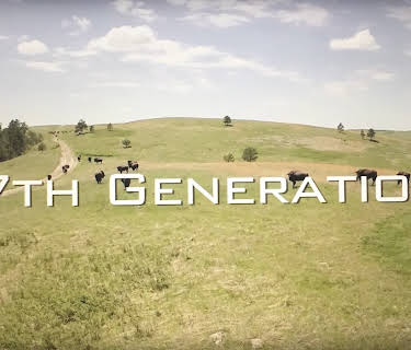 7th Generation (2015)