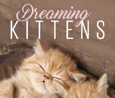 Relax: Dreaming Kittens (2016)