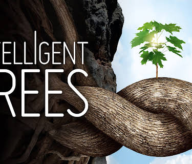 Intelligent Trees