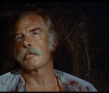 The Spikes Gang (1974)