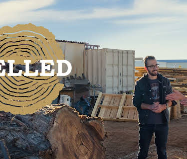 Felled (2017)