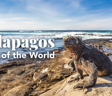 Galapagos: Edge of the World S1