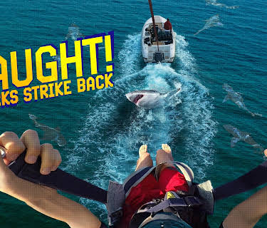 Caught! Sharks Strike Back