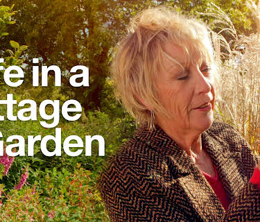 Life in A Cottage Garden