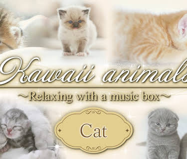 Kawaii animals～Relaxing with a music box～Cat (2025)