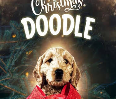 The Christmas Doodle (2019)