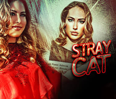 Stray Cat (2023)