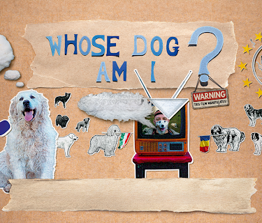 Whose Dog Am I? (2023)