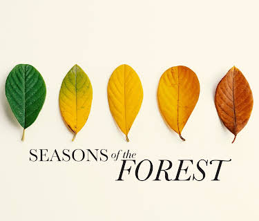 Seasons of the Forest (2025)