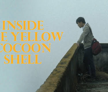 Inside the Yellow Cocoon Shell (2024)