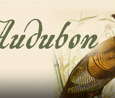 Audubon (2017)