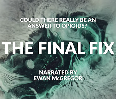 The Final Fix (2020)