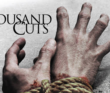 A Thousand Cuts (2012)