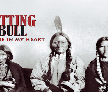 Sitting Bull: A Stone in My Heart (2008)