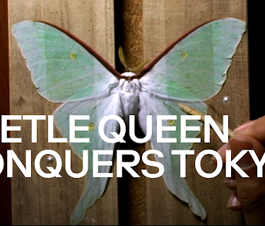 Beetle Queen Conquers Tokyo(English Subtitled) (2010)