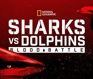 Sharks vs. Dolphins: Blood Battle (2020)