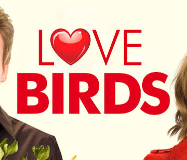 Love Birds (2011)