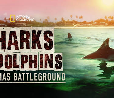 Sharks vs. Dolphins: Bahamas Battleground (2023)