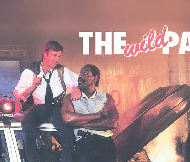 The Wild Pair (1987)