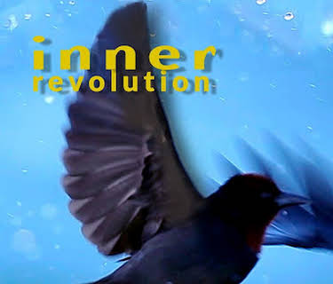 Inner Revolution (2017)