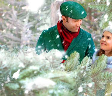 A Christmas Prince: The Royal Wedding (2018)