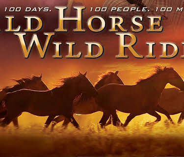 Wild Horse, Wild Ride (2012)