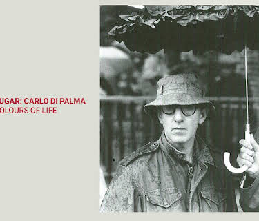 Water and Sugar: Carlo Di Palma, The Colours of Life (2017)