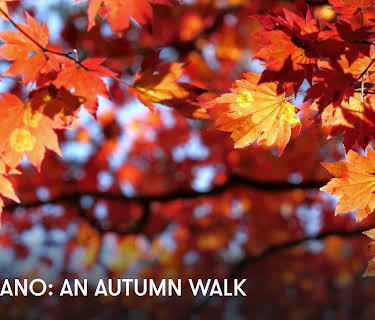Zen Piano: An Autumn Walk (2023)