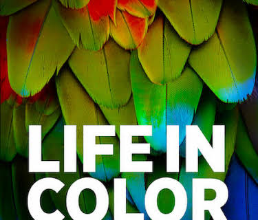 Life in Colour with David Attenborough