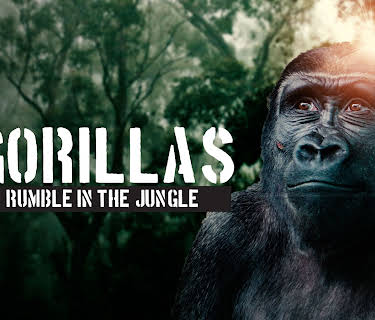 Gorillas Rumble In The Jungle (2020)
