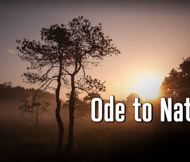 Ode to Nature