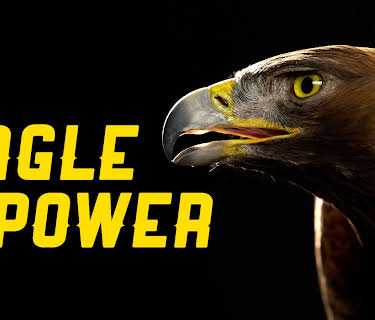 Eagle Power (1974)