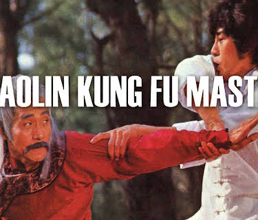 Shaolin Kung Fu Master (1980)
