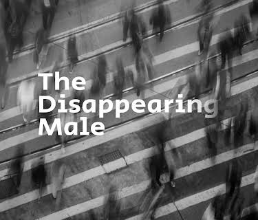 The Disappearing Male (2008)