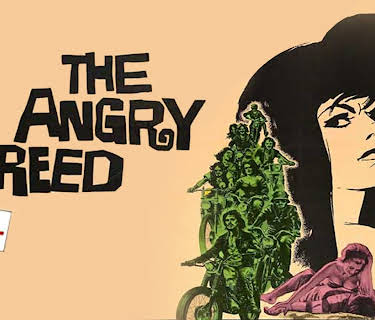 The Angry Breed (1968)