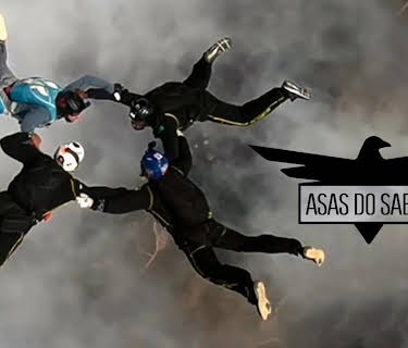 Asas do Sabiá