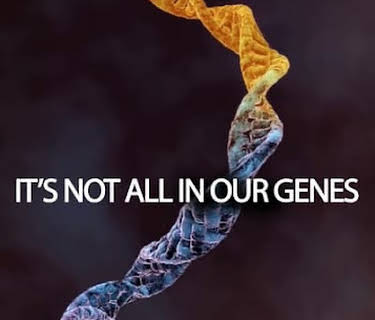 It's Not All In Our Genes (2019)