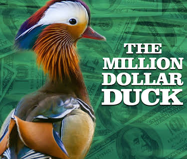 The Million Dollar Duck