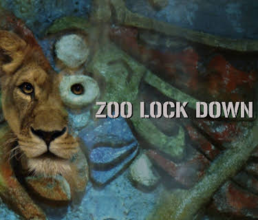 Zoo Lock Down (2023)