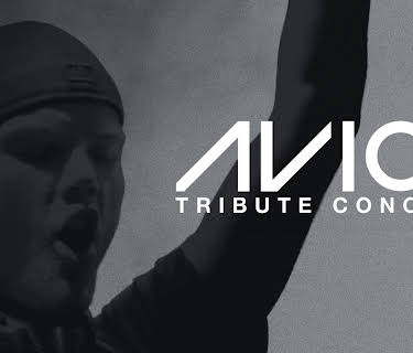 Avicii - Tribute Concert (2019)