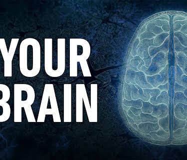 Your Brain, Season 1