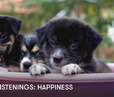 Easy Listenings: Happiness (2023)