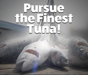 Pursue The Finest Tuna! (2017)