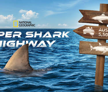 Super Shark Highway