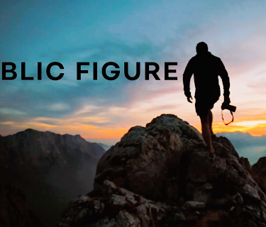 Public Figure (2019)