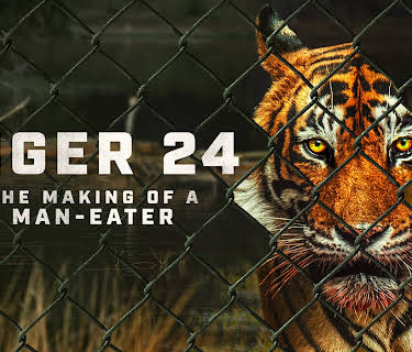 Tiger 24 (2022)
