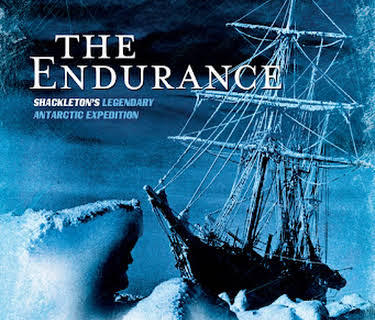 The Endurance: Shackleton's Legendary Antarctic Expedition (2001)
