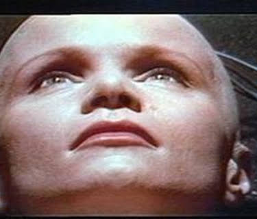 Eve of Destruction (1991)